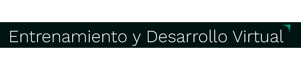 Entrenamiento y desarrollo virtual
